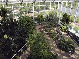 Botanischer Garten der Heilpflanzen