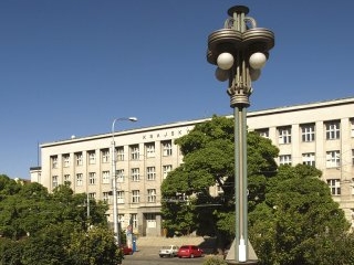 7. District Court